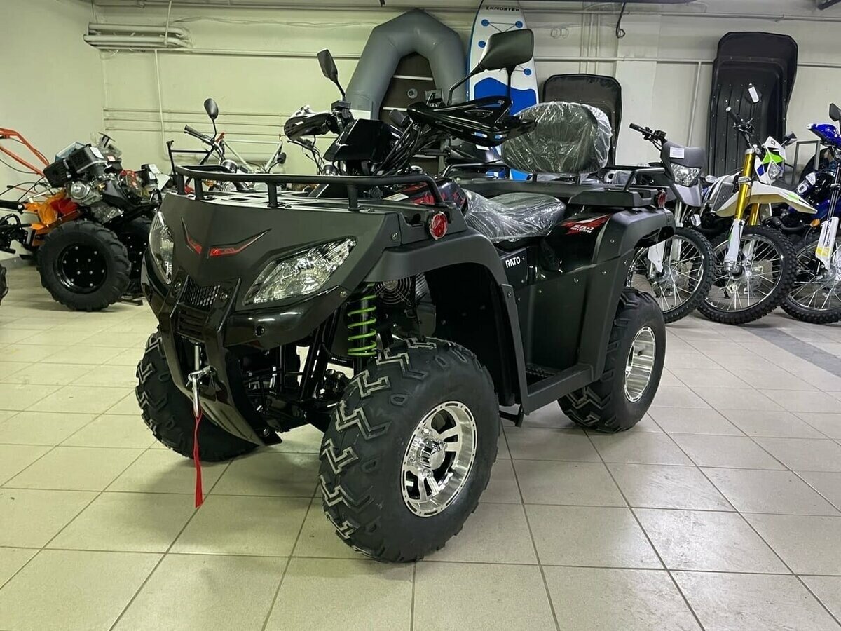 Rato Rush 250