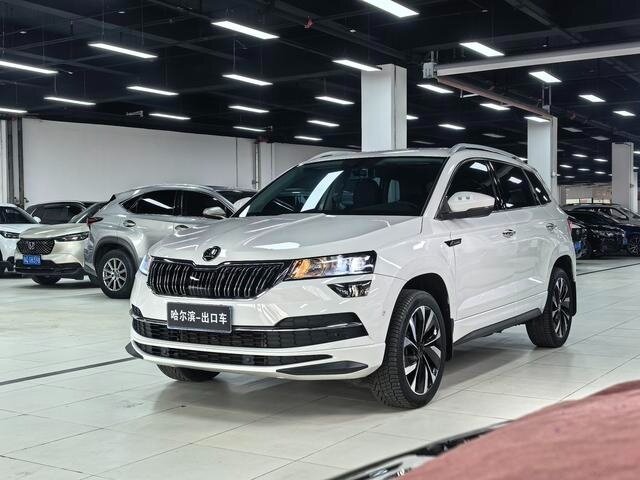 Skoda Karoq I