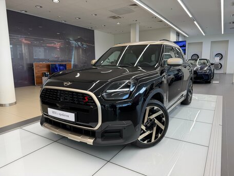Mini Countryman III