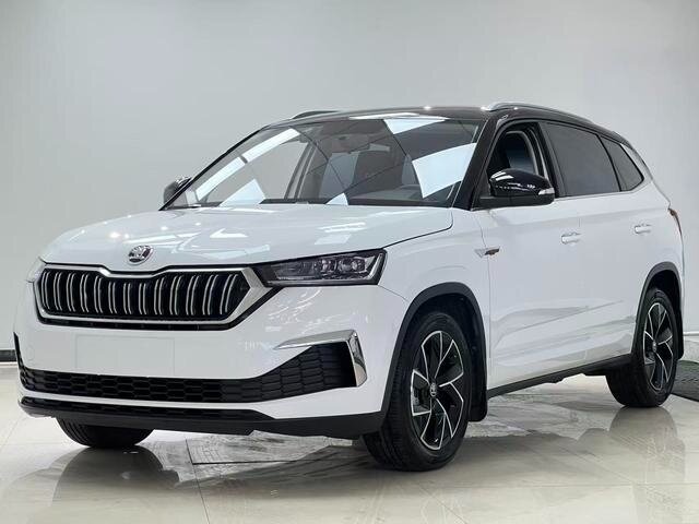 Skoda Kamiq I