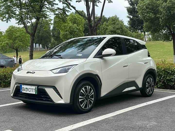 Открыть фотографии: BYD Seagull I