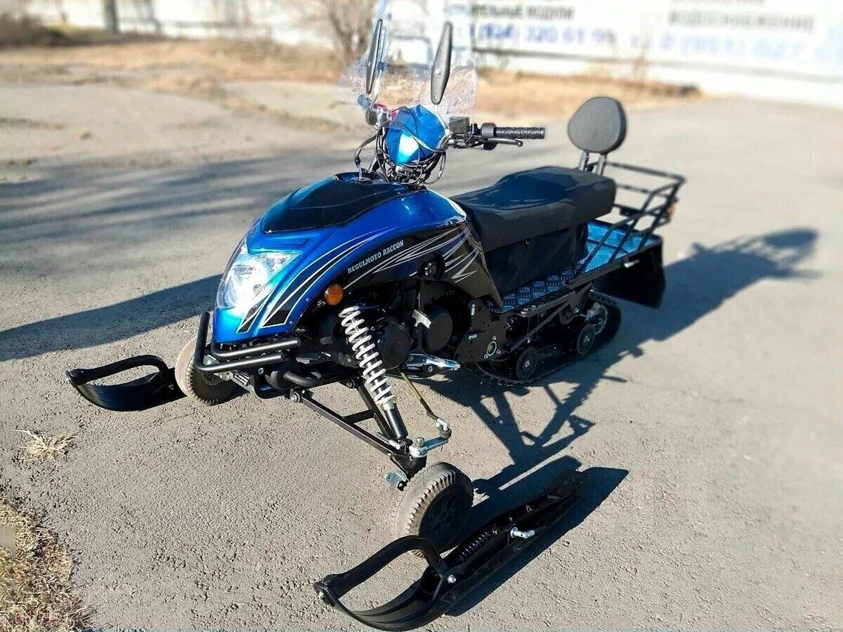 Regulmoto Raccoon