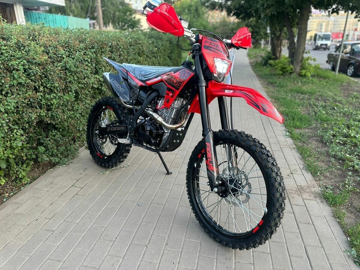 Fidelis Et Fortis S6