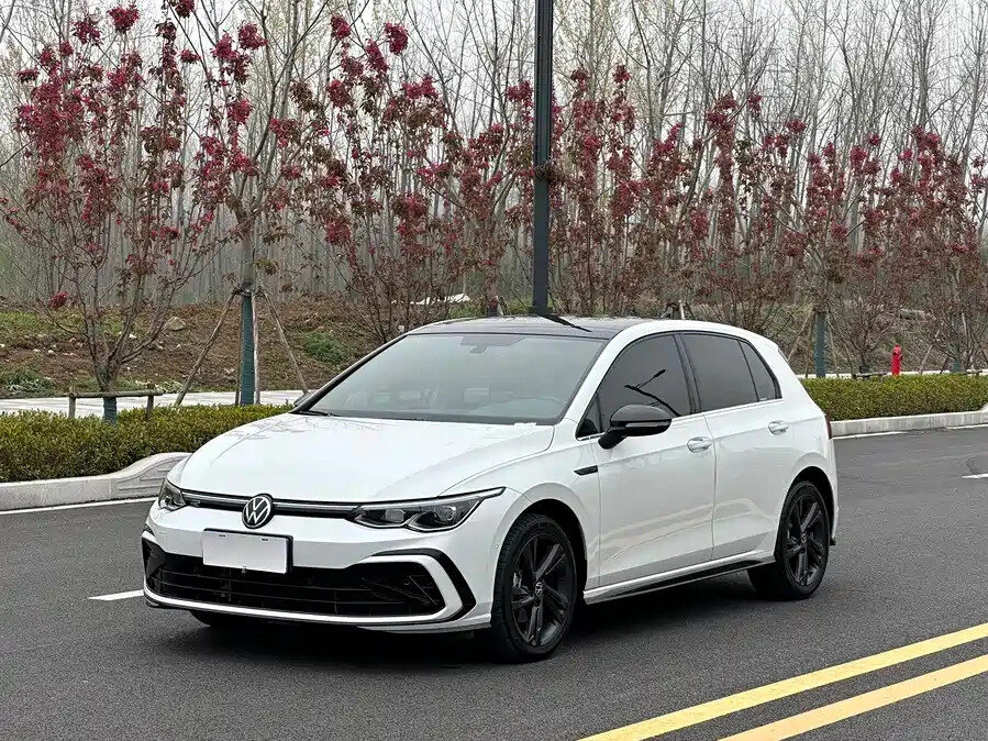Открыть фотографии: Volkswagen Golf VIII