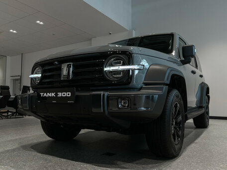 Tank 300 I