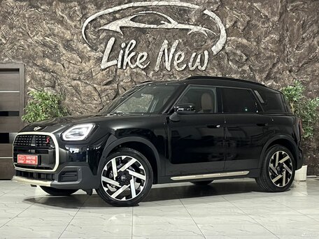 Mini Countryman III