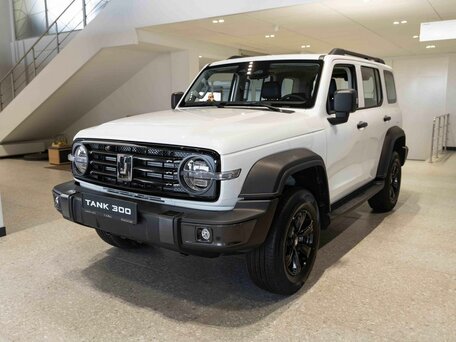 Tank 300 I