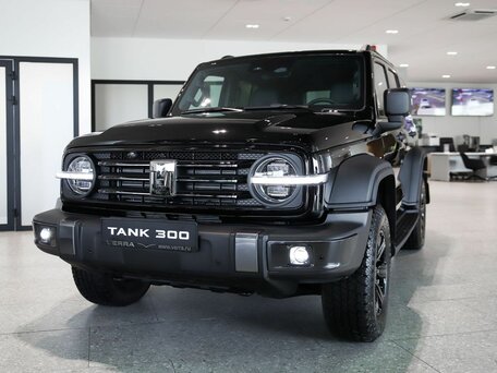 Tank 300 I