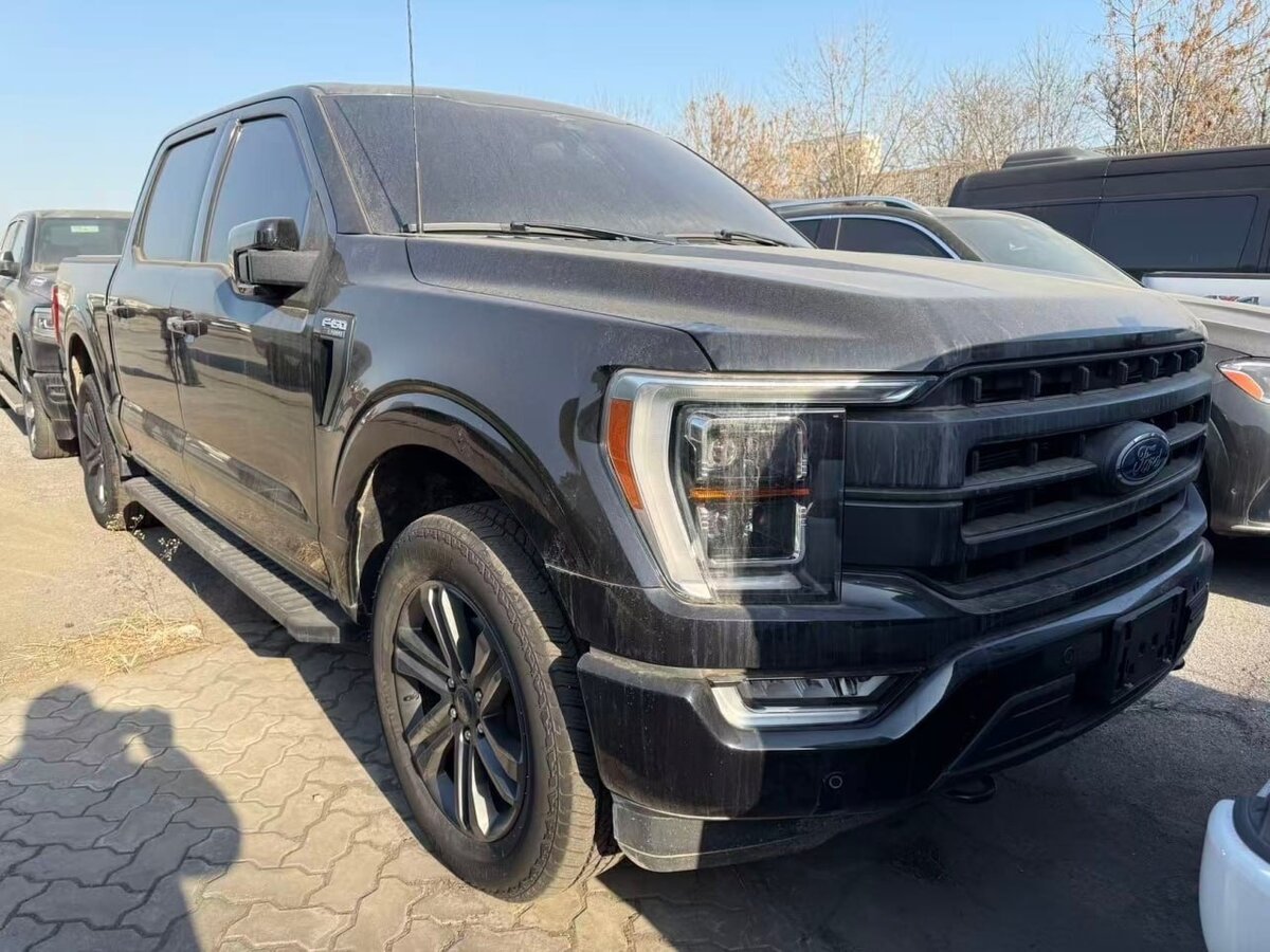 Открыть фотографии: Ford F-150 XIV