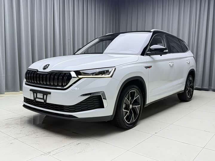 Открыть фотографии: Skoda Kamiq I (China Market)