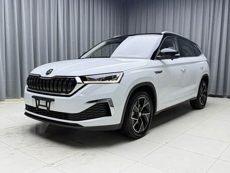 Skoda Kamiq I (China Market)