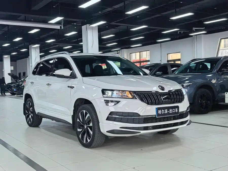 Skoda Karoq I