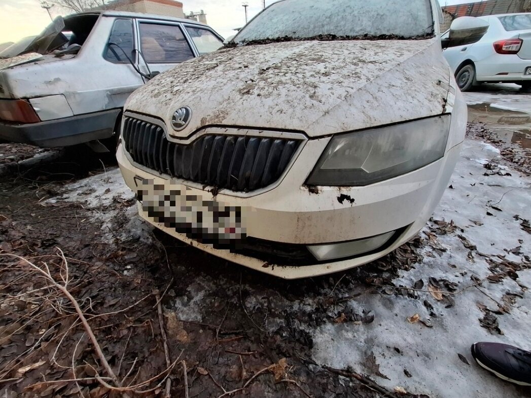 Открыть фотографии: Skoda Octavia III (A7)