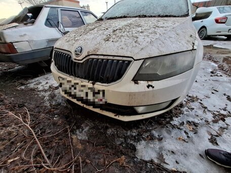 Skoda Octavia III (A7)