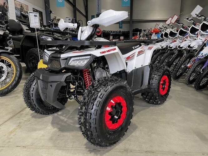 Tao Motor Hunter 125