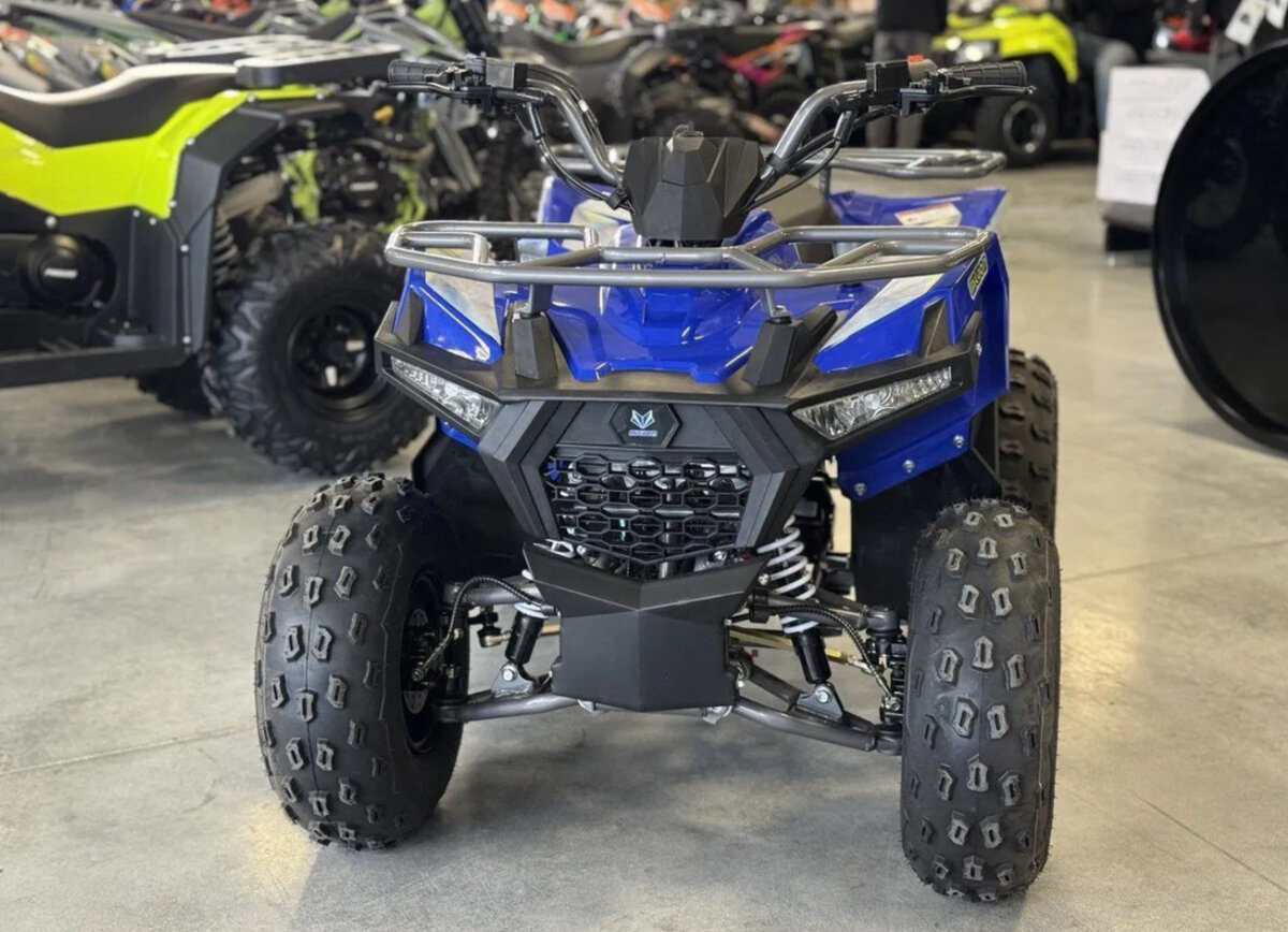 Другие Мотовездеходы (другие)