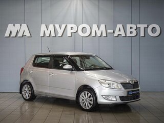 Нашли авто Skoda Fabia