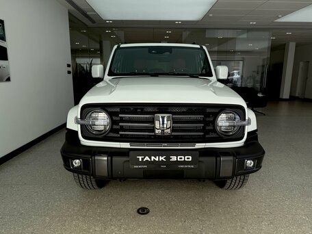 Tank 300 I