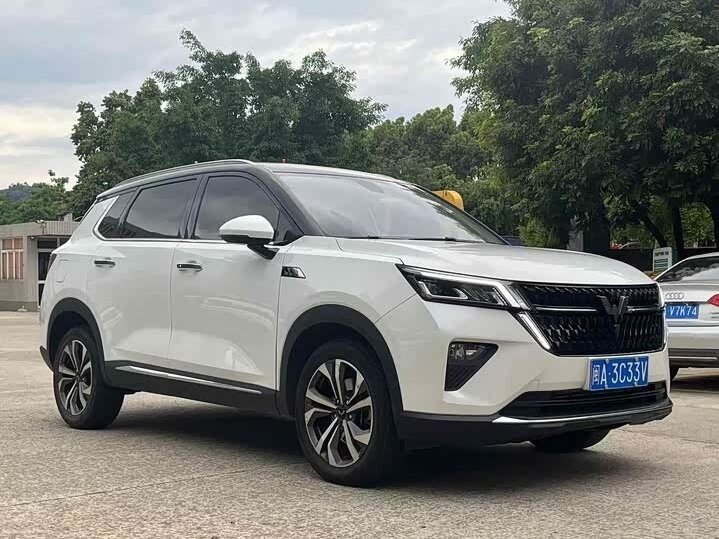 Wuling Star Asta