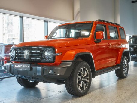 Tank 300 I