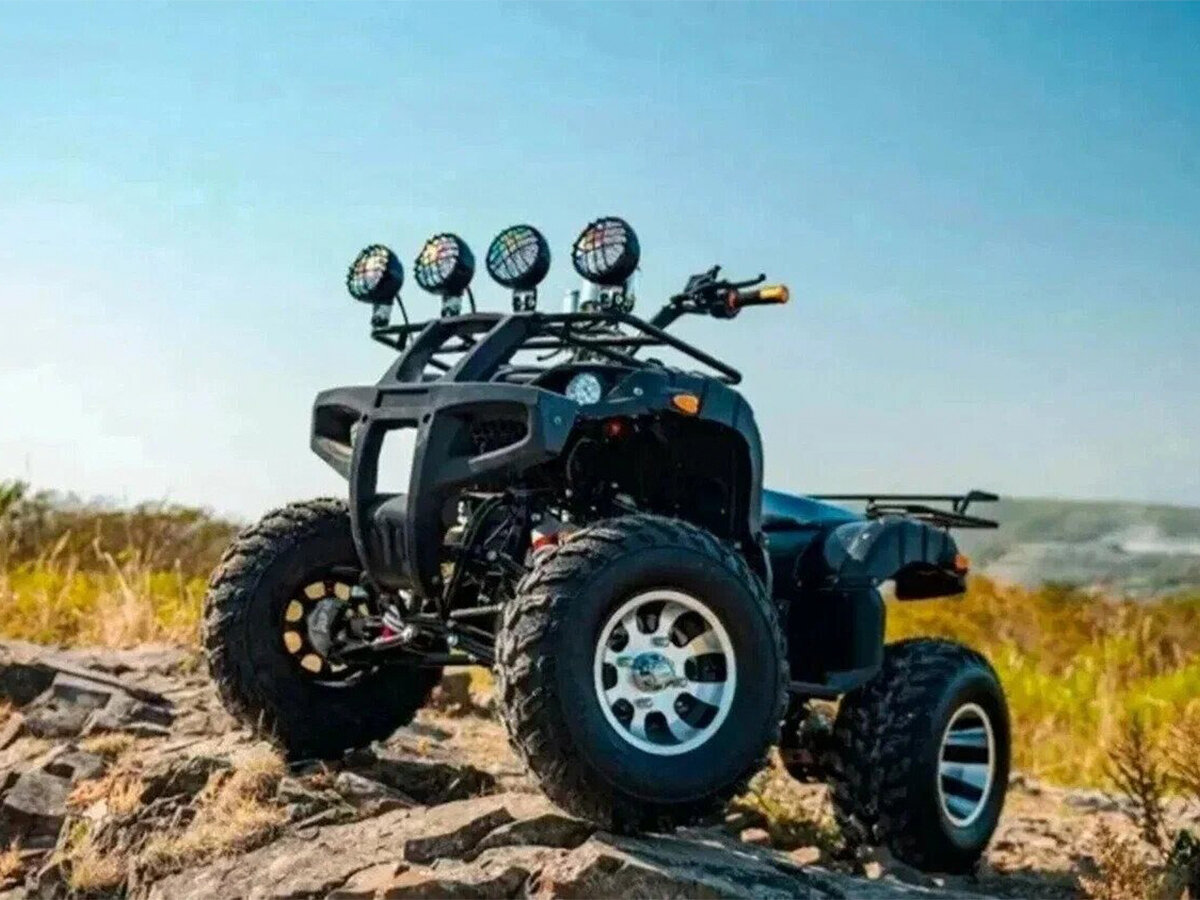 Tiger Sport 250