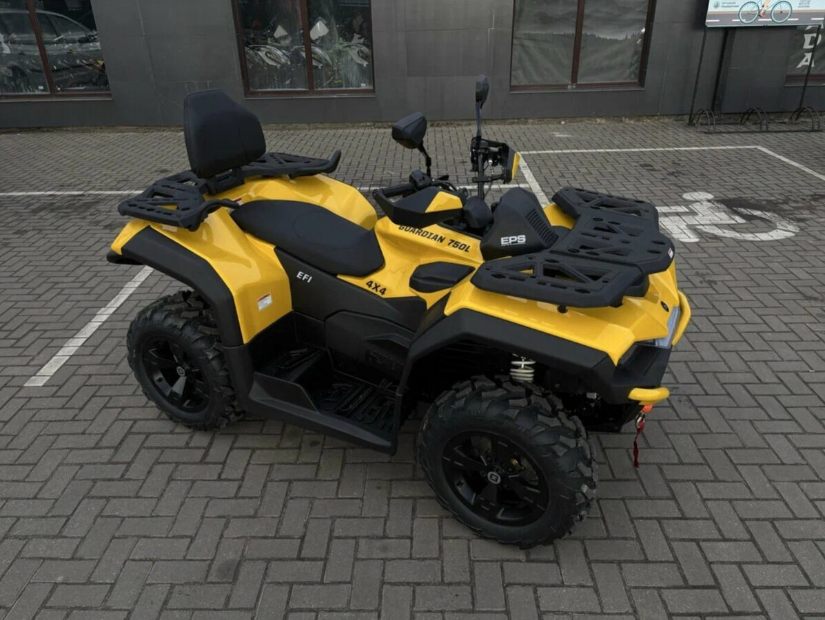 Hisun Guardian