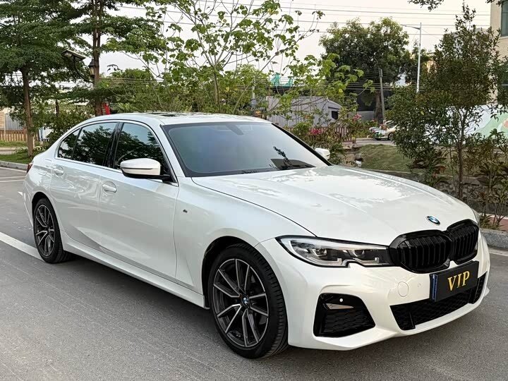 BMW 3 серии Long 320Li VII (G2x)