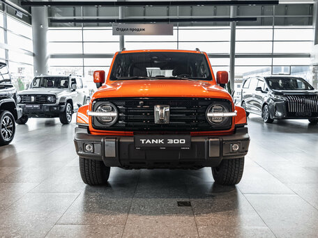 Tank 300 I