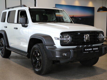 Tank 300 I