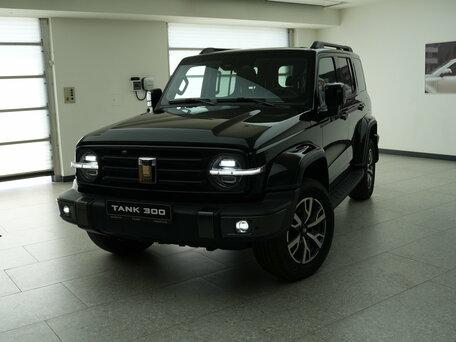Tank 300 I