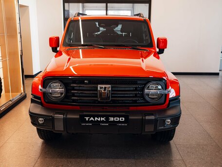 Tank 300 I