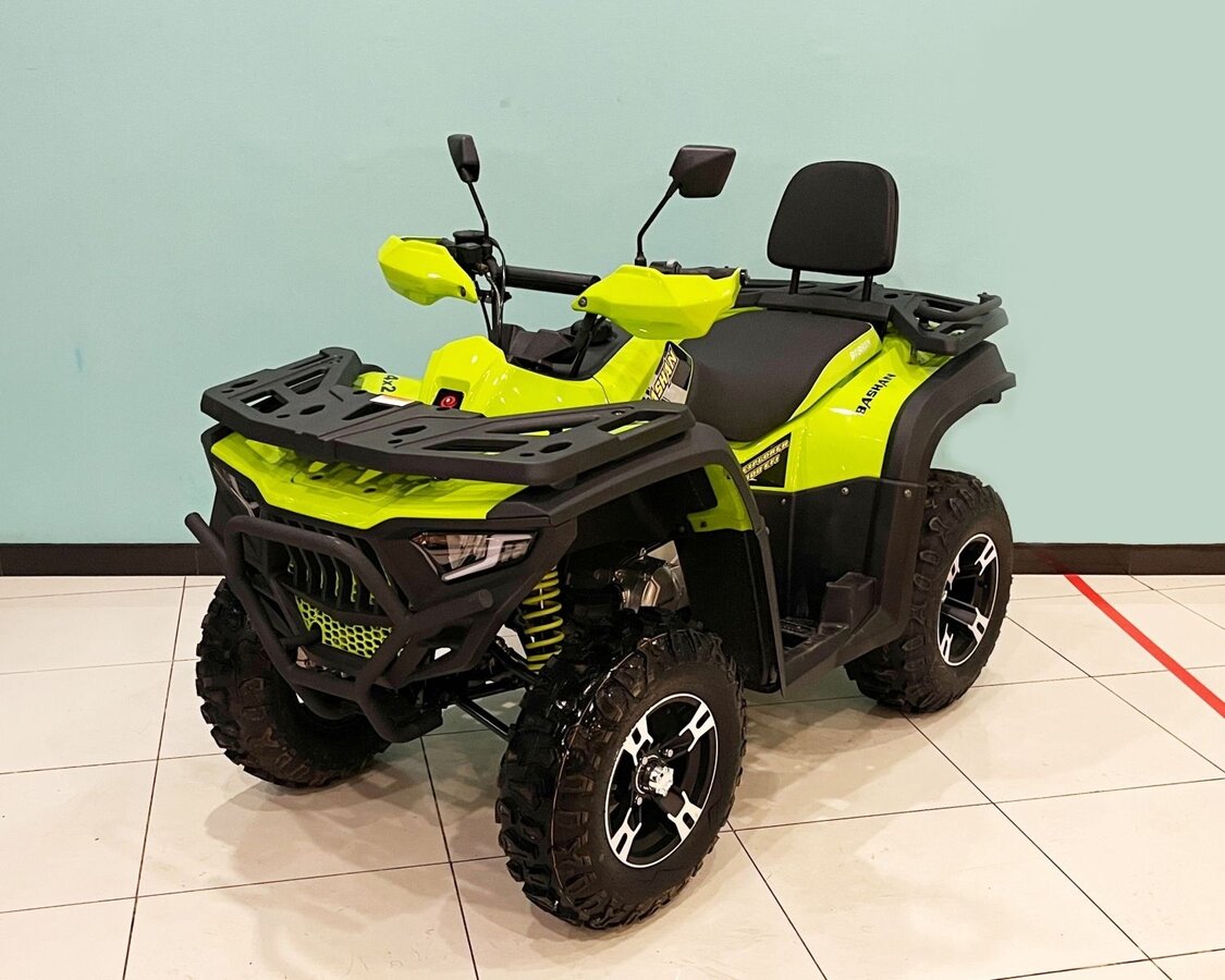 Bashan Explorer 300