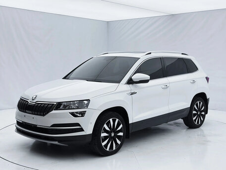 Skoda Karoq I