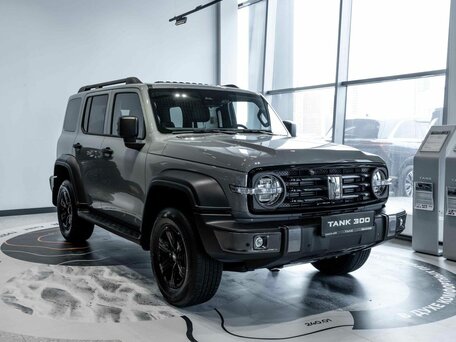 Tank 300 I