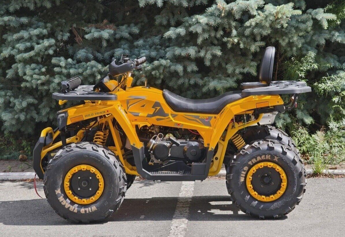 Motoland Wild Track 200