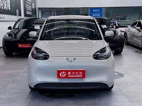 Wuling Binguo