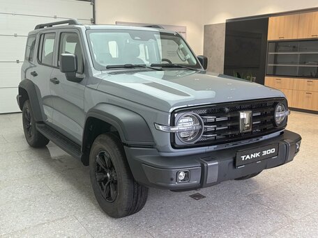 Tank 300 I