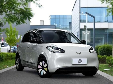 Wuling Binguo