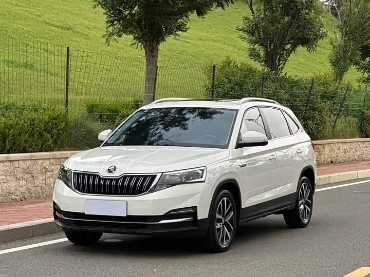 Открыть фотографии: Skoda Kamiq I (China Market)