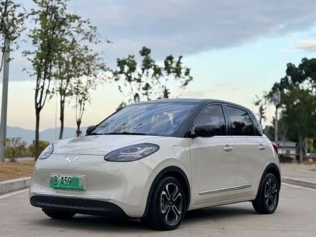 Wuling Binguo