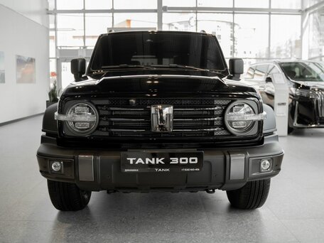 Tank 300 I