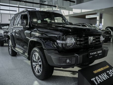 Tank 300 I