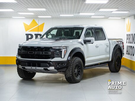 Ford F-150 XIV