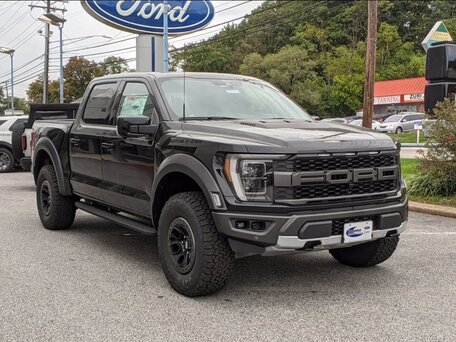 Ford F-150 XIV