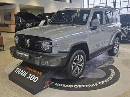 Tank 300 I