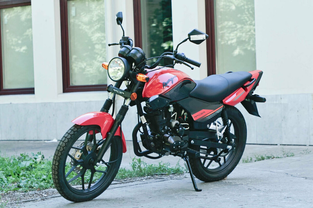 Racer Tiger